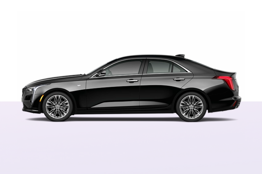 Executive Sedan